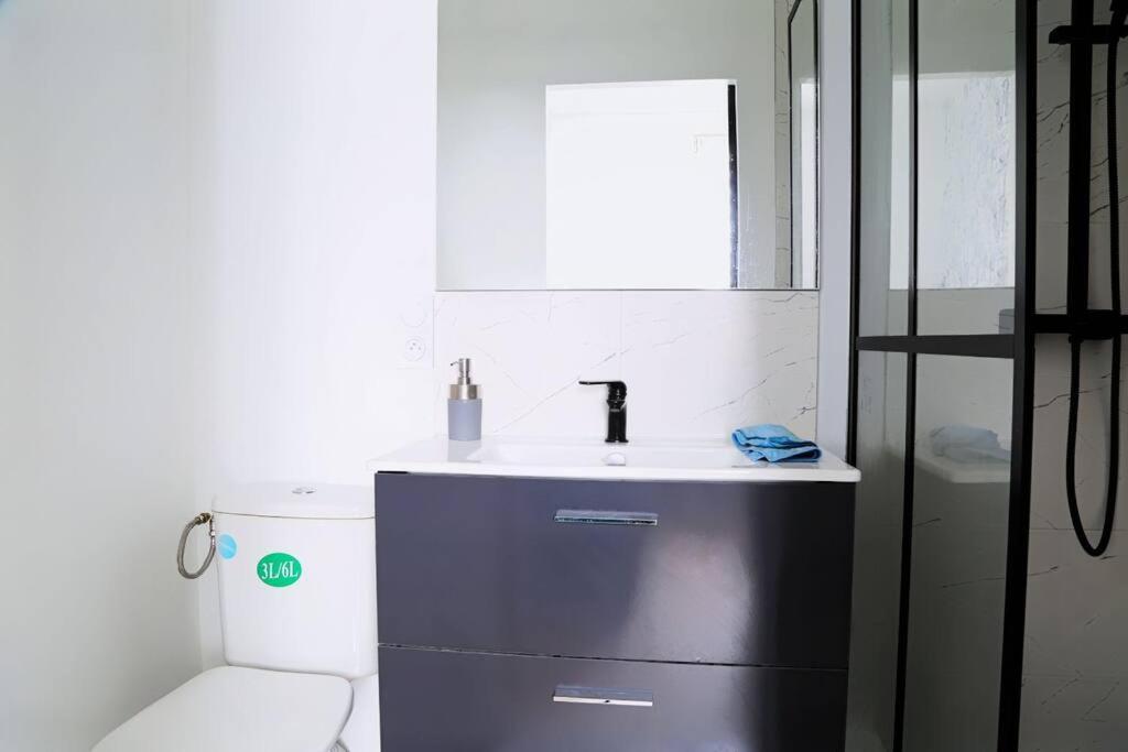 Apartment L'ecrin Avec Salle De Sport